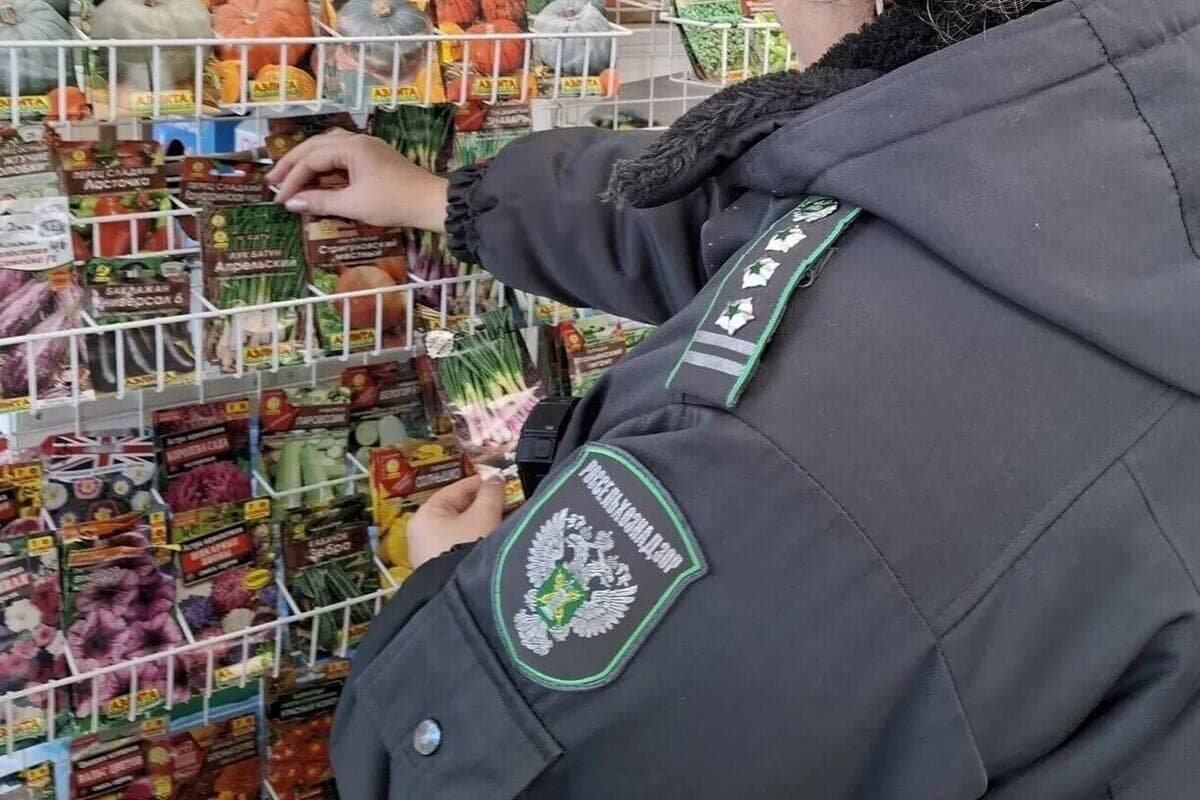 В магазине Калининграда продавали семена лука мимо госреестра