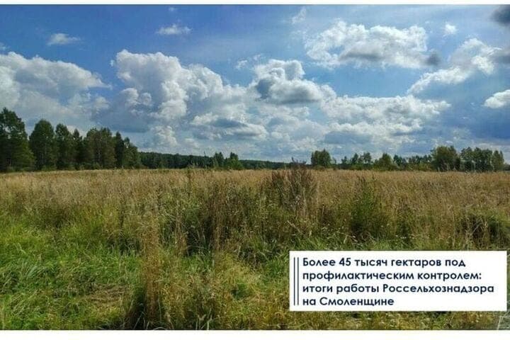 Под профилактическим контролем Россельхознадзора на Смоленщине находится 45 тысяч гектаров земли