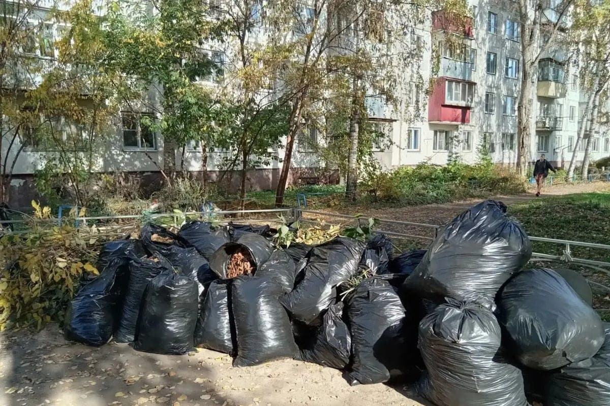 В Тамбове за выходные прошло больше 80 субботников