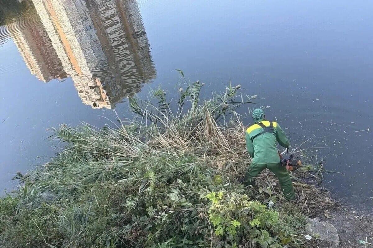 In Krasnodar since the beginning of autumn cleared more than 29 thousand square meters near the lakes