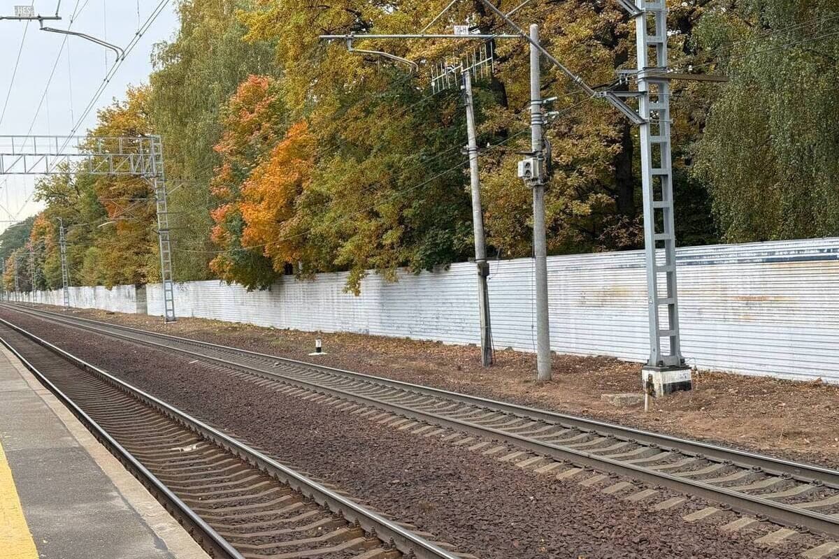 Электрички на Балтийском направлении опаздывают почти на 100 минут