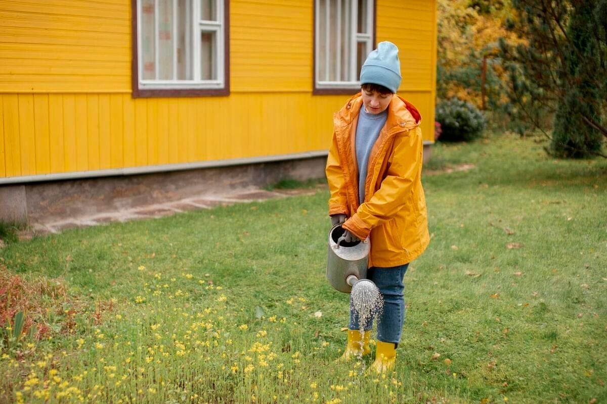 Vladimir summer residents told how to close the season and country house