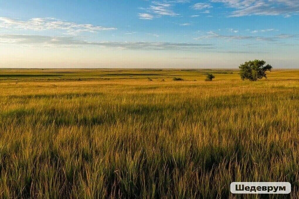 Tomorrow signs will tell about the weather in Kalmykia in the near future