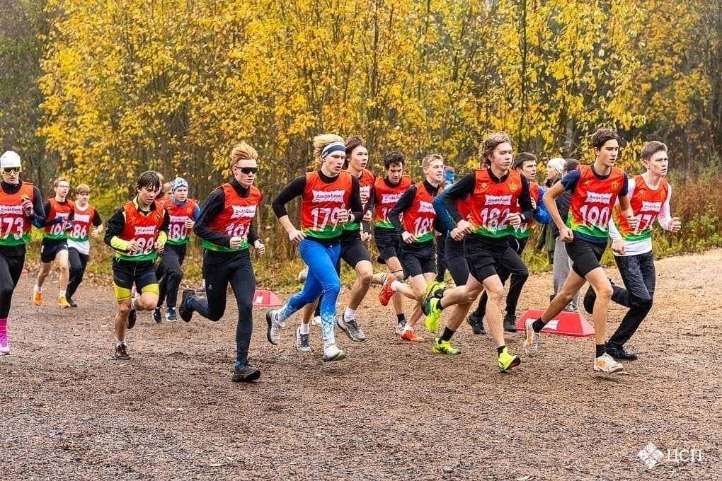 In the capital of Karelia, the cross of memory of Arne Kivekyas was held