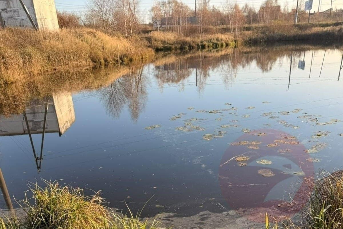 Les résidents d'Ivanovo ont remarqué des endroits suspects sur la rivière Uvod