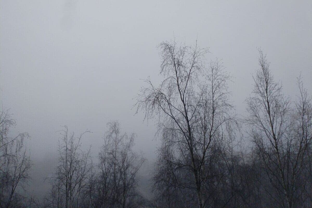 Night cold to -10 and morning fog: weather forecast in the Murmansk region on October 12
