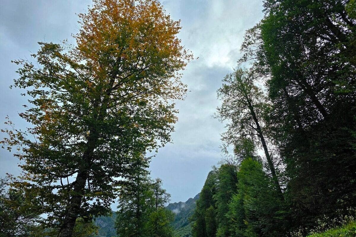 Rescuers all night looking for a lost man in the mountains of Tuapse district