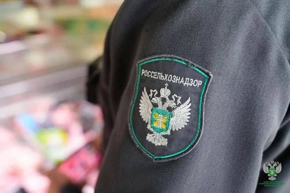 Melitopol identifiziert gefährliche Fischprodukte