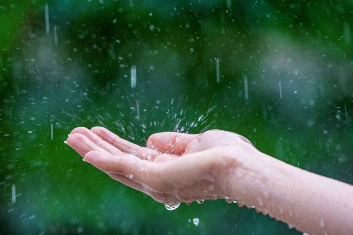 Dans la région de Zaporozhye le 19 octobre, des pluies et un vent fort sont attendus