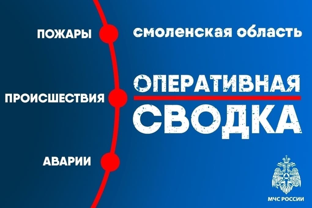 МЧС по Смоленской области отчиталось за сутки: четыре пожара, ДТП на трассе М-1 и подгоревший ужин