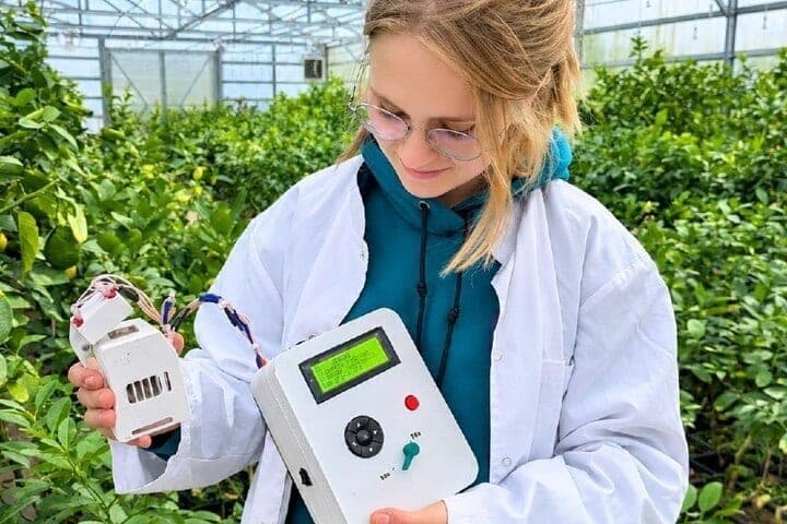 Ученые ННГУ разработали прибор, выявляющий проблемы растений