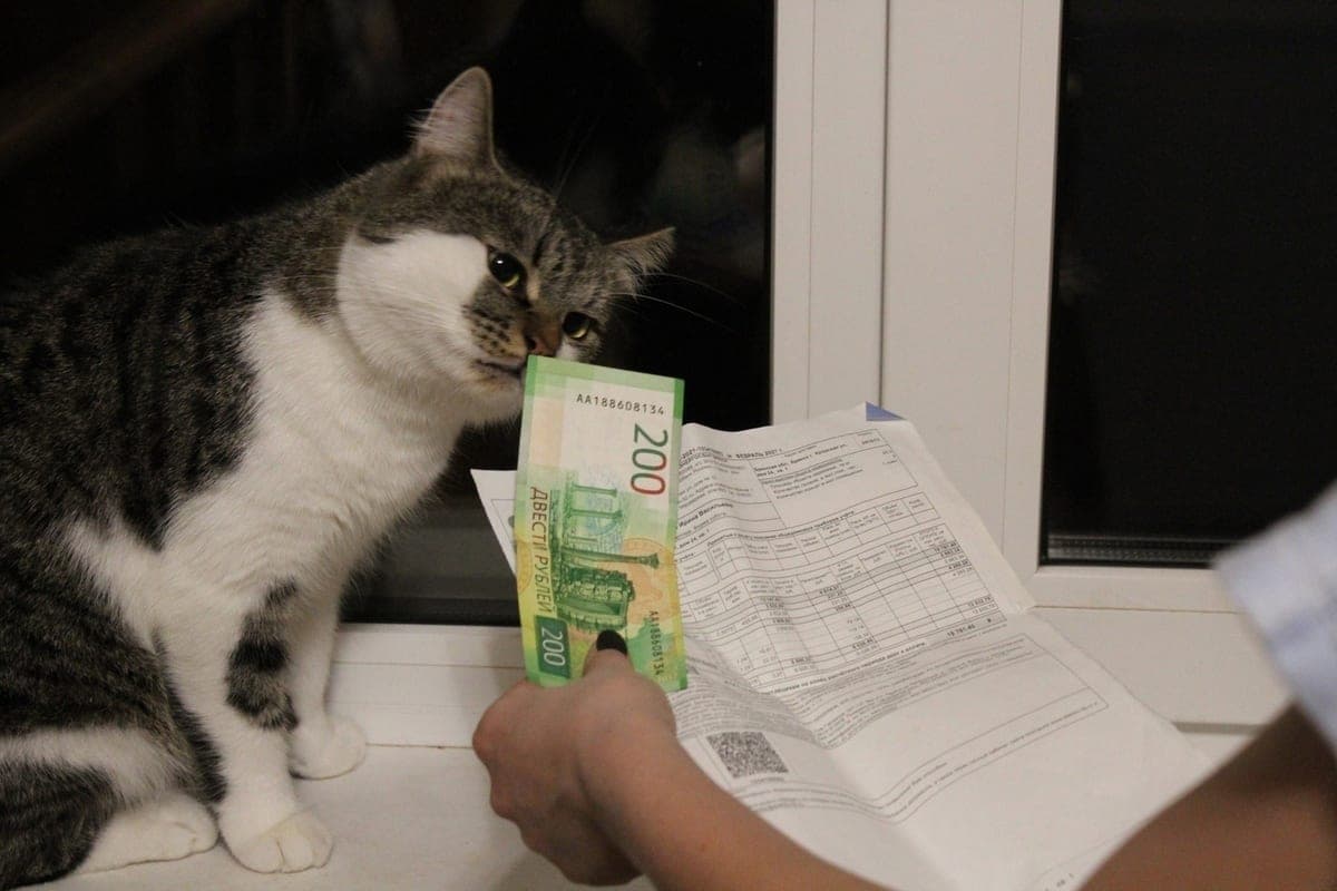 Lipchan explained how to return the overpayment for errors in bills for communal