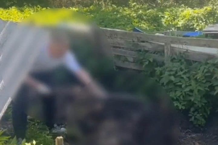 Житель Сортавальского района отправится в колонию на 10 лет за жестокое убийство