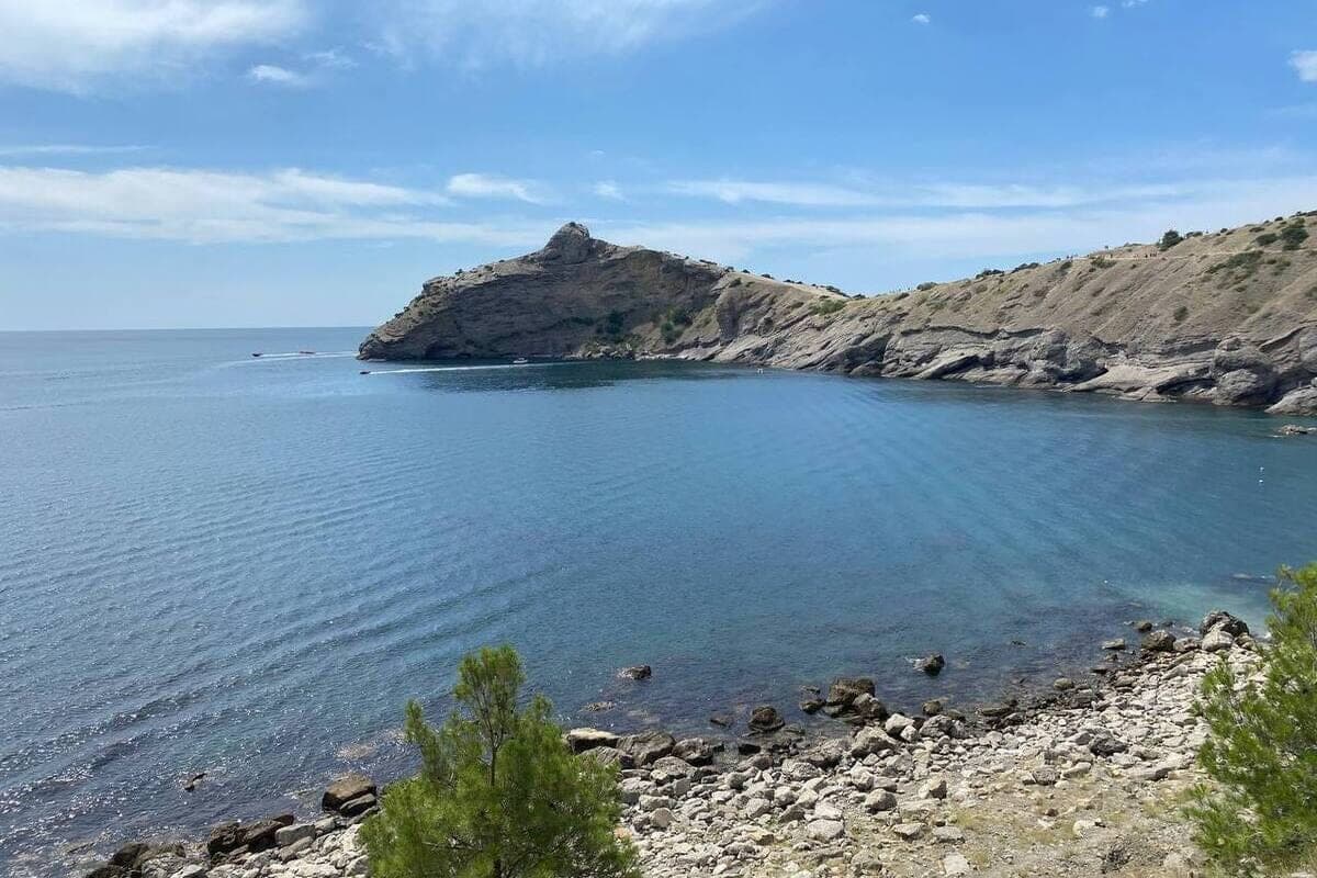 Как учёные Института биологии южных морей открывают тайны Чёрного моря и его обитателей