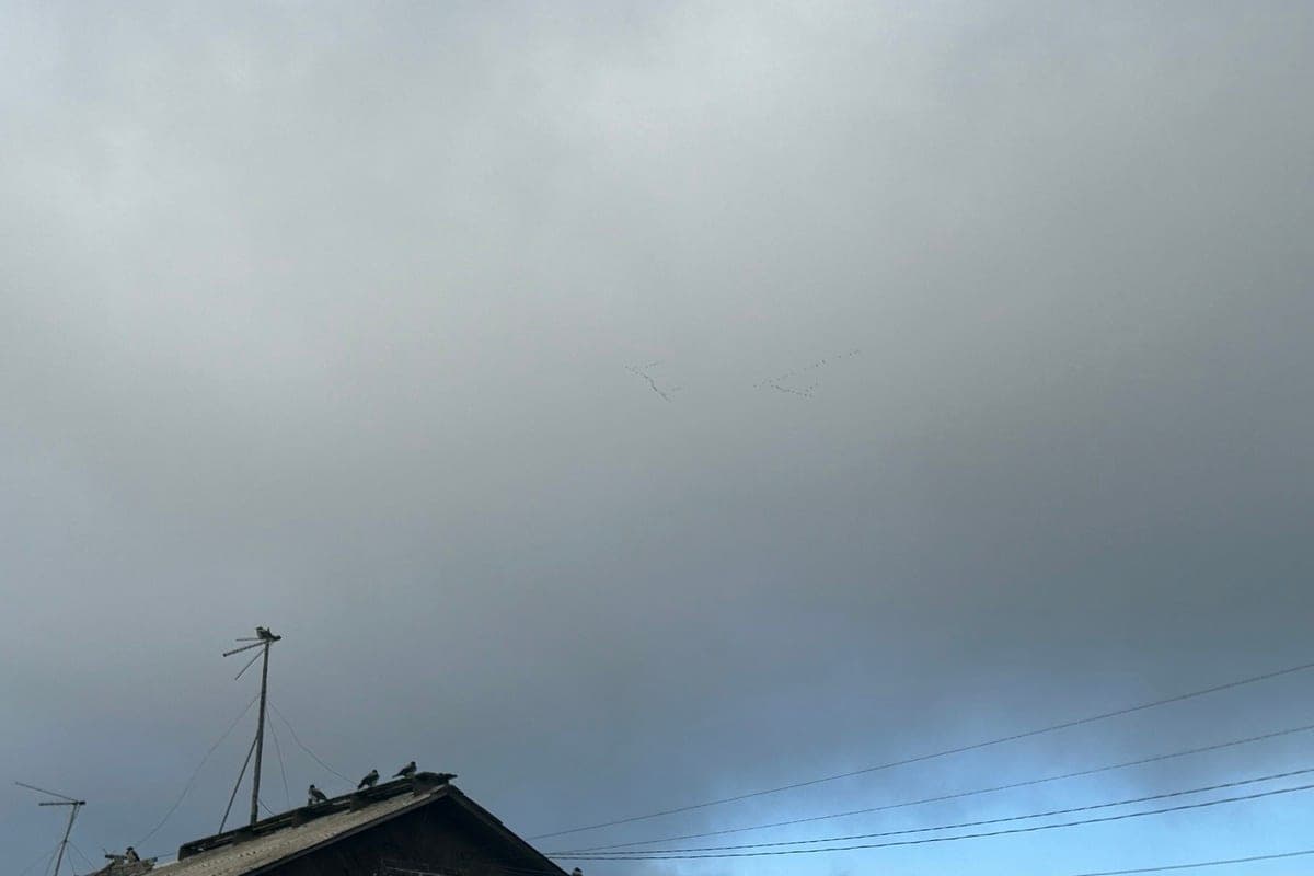 EMERCOM warned of strong wind in the Arkhangelsk region