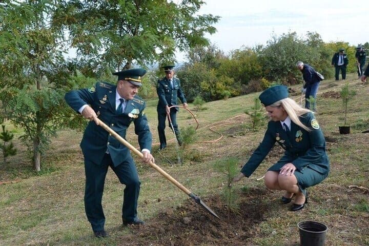 Астраханские таможенники высадили 40 сосен на Мамаевом кургане