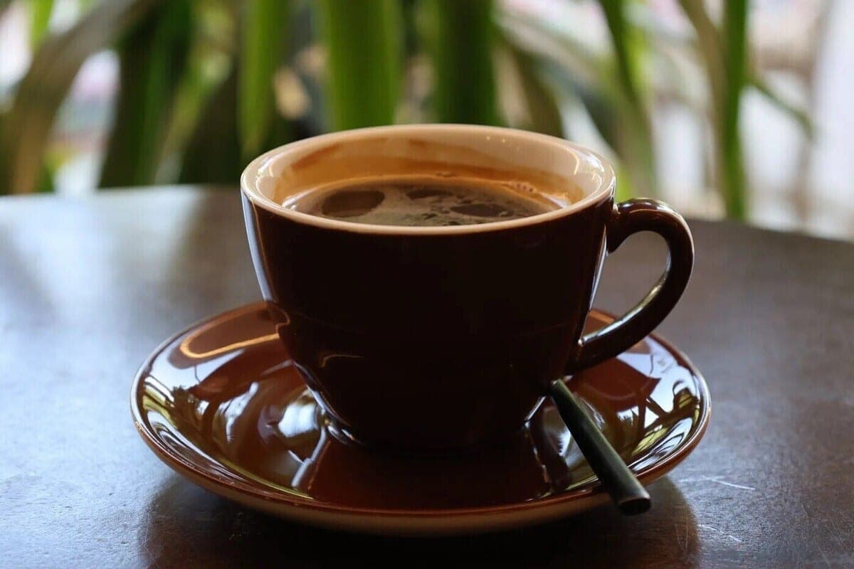 Sochi was among the leaders of the October holiday in places near cafes and restaurants