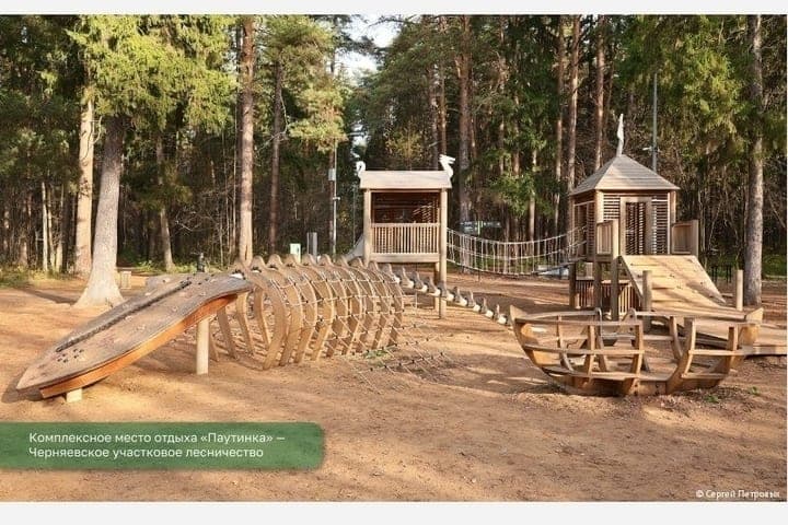 В пермских лесах отремонтировали 13 экотроп и 24 места отдыха