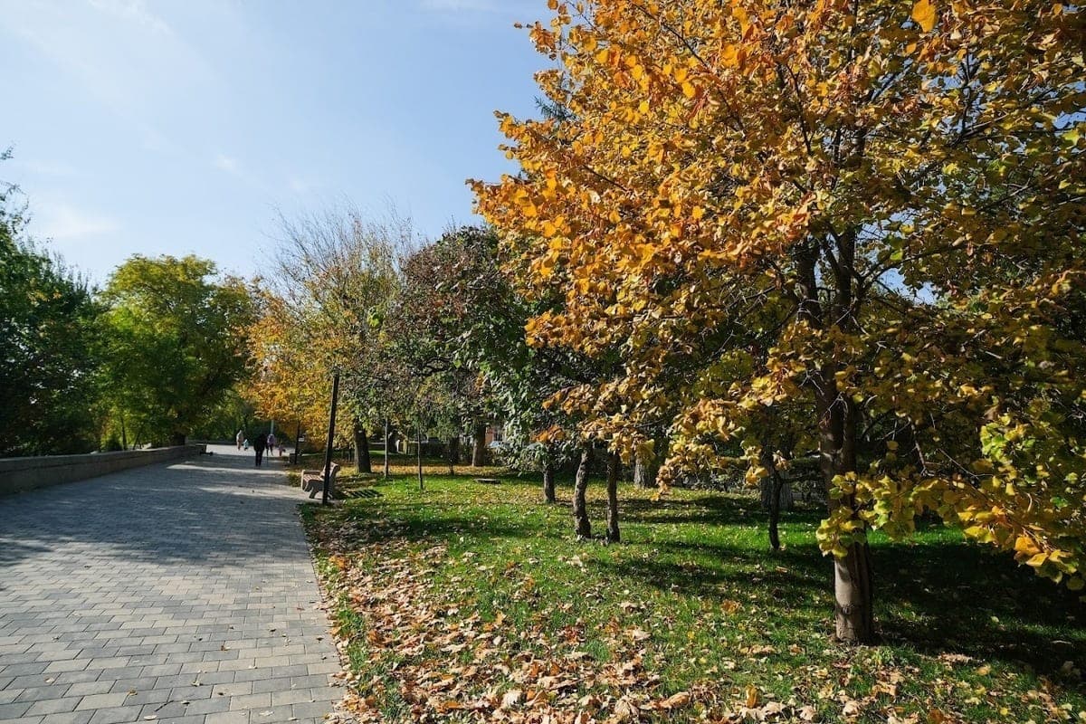 In the Volgograd region on November 9 starts the Week of quality