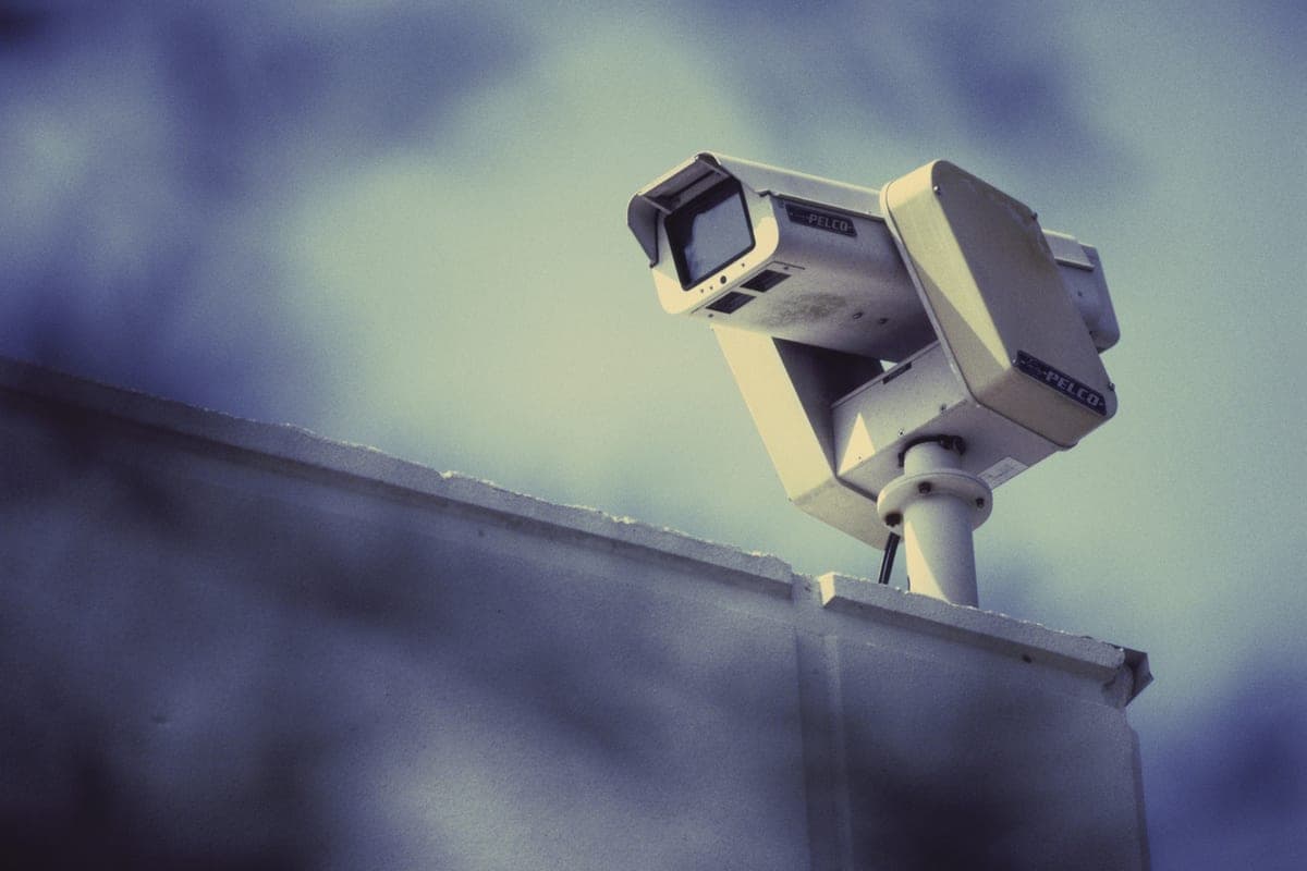 Zarusye Park in Arkhangelsk is now being watched around the clock