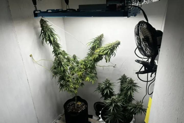Police officers summed up the results of the second stage of OPM "Mak" in the Orenburg region