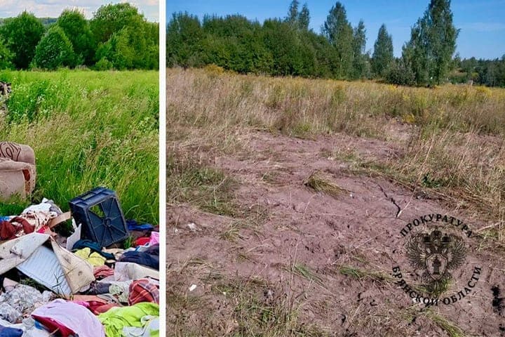 À Bryansk, les décharges de déchets ont été éliminées dans le champ près de Novo-Otradne