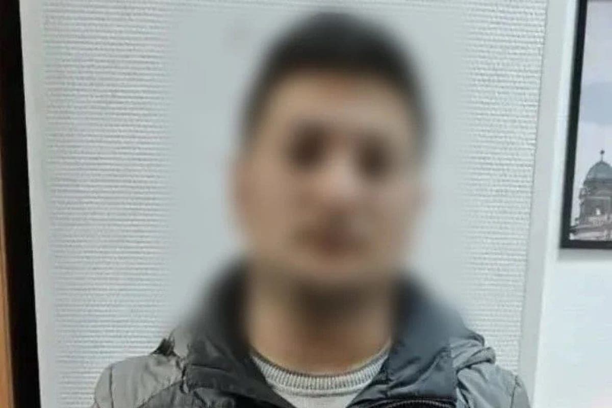 В Петербурге задержали подозреваемого в изнасиловании девочки в лесопарке