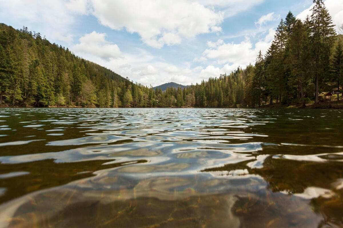 Almost 600 violations found on the waters of the Novosibirsk region for six months