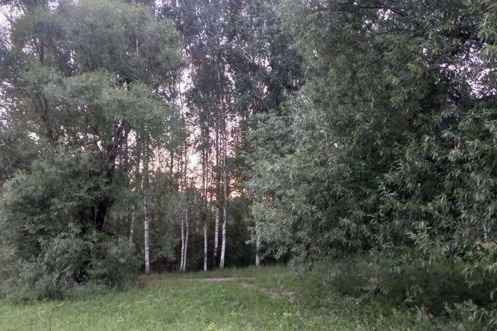 In the Russian region in the forest found the body of a man