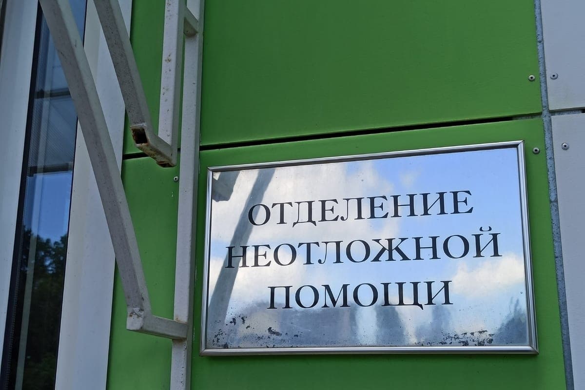 Residents of Vladimir region attacked by 4 types of dangerous viruses