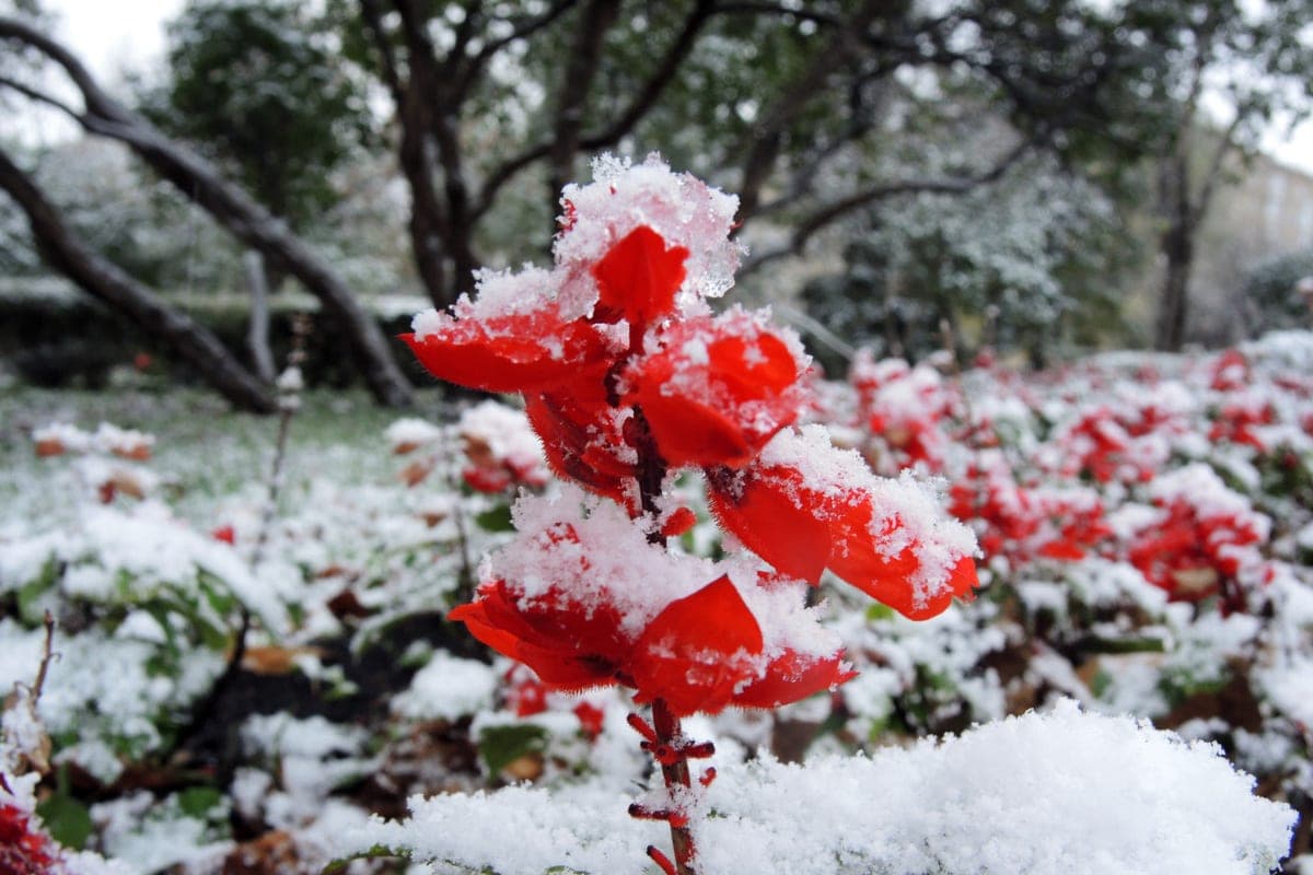 Météo dans la région de Novosibirsk le 27 octobre. À quoi s'attendre