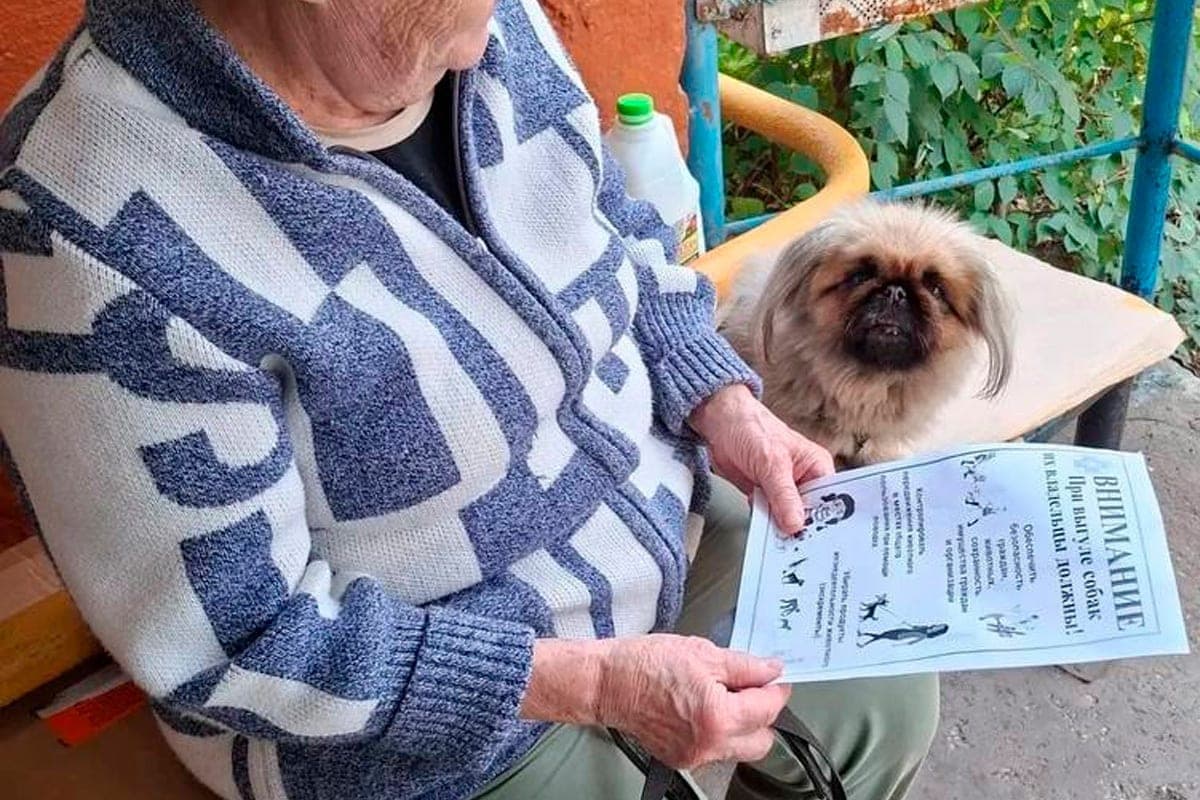 More than 450 dog walking reminders distributed to residents of Lipetsk