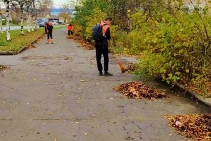 Cleaning foliage in Petrozavodsk: more than 50 janitors work on the streets