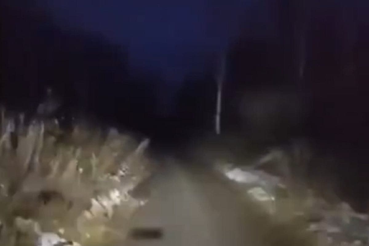 Near Yekaterinburg rescued a guy who got lost in the forest with swamps and a bear