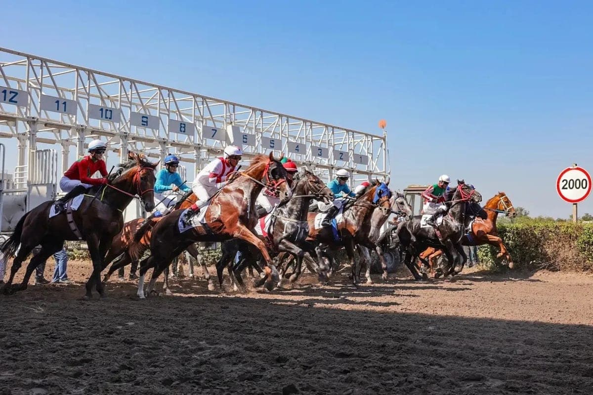 In 2027, a full race season will be held at the Rostov Hippodrome