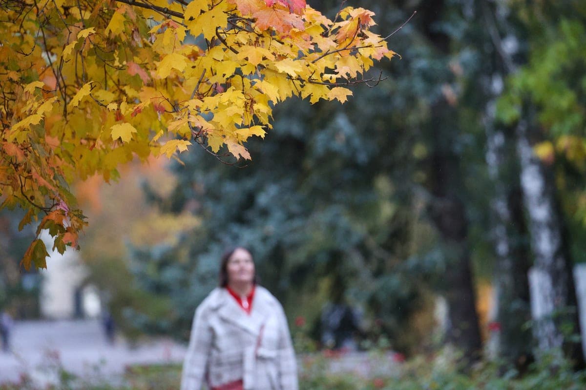 Muscovites told about the last gift of October at the weekend