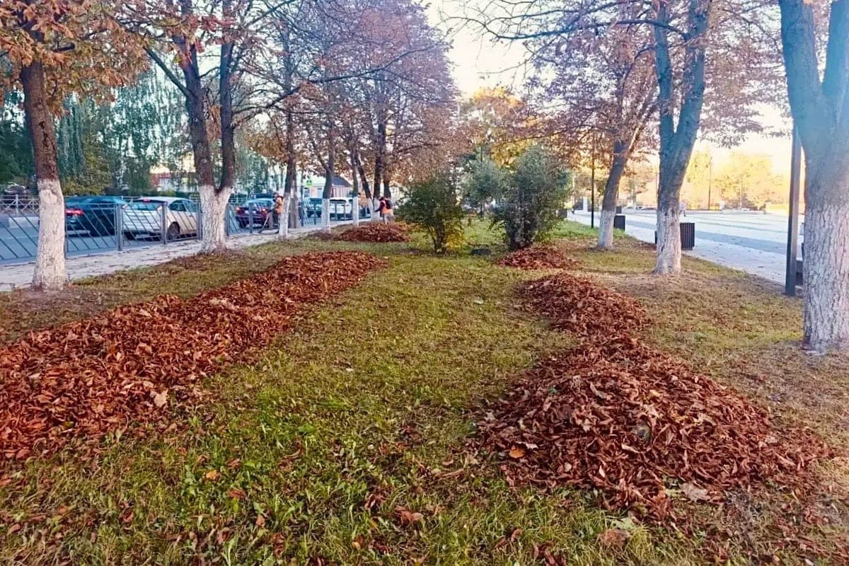 In Orel continues cleaning of fallen foliage