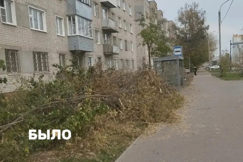 رئيس بلدية إيفانوف قال عن تنظيف خريف المدينة