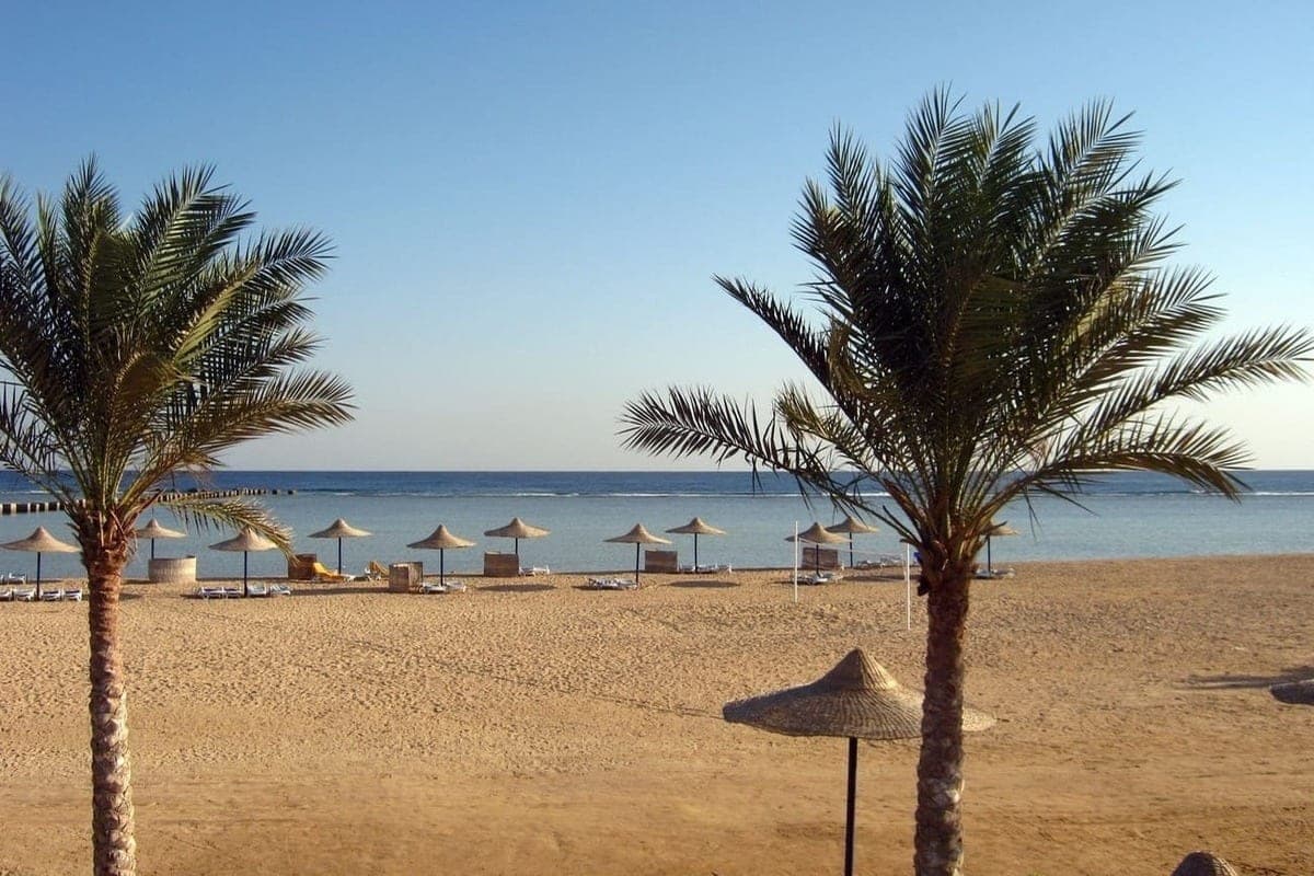 New Egypt: Russians appreciated the resort of El Alamein