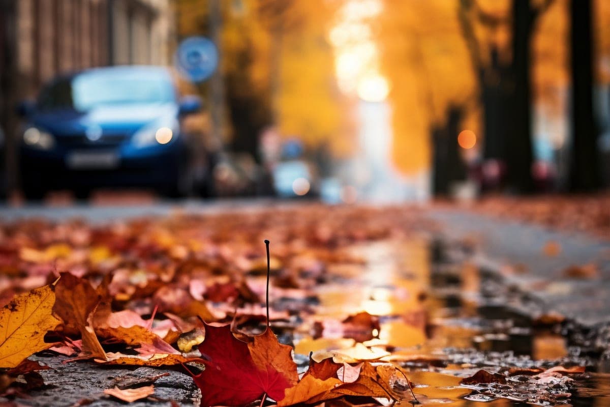 Rain, wet snow and gusts up to 16 m / s: weather in the Tomsk region on October 13