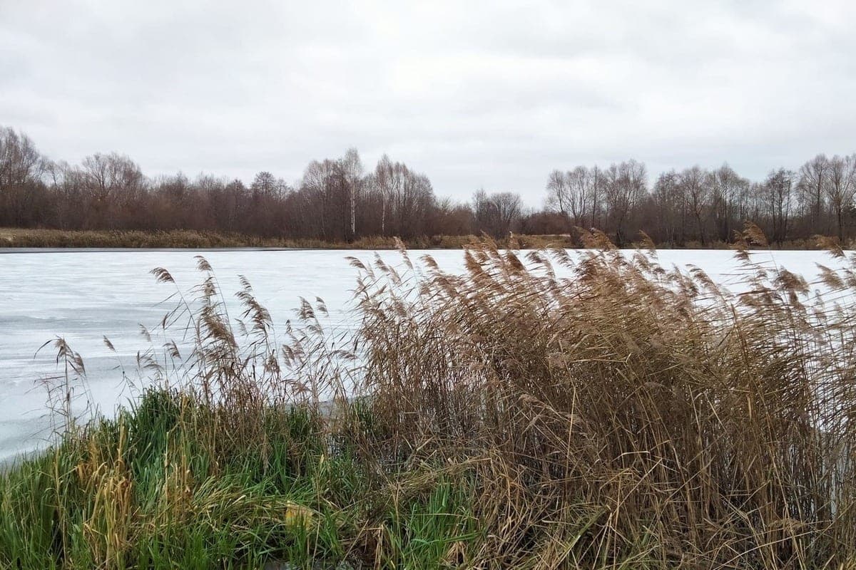 November will be like a terrible dream. Forecasters gave a new forecast for the end of autumn