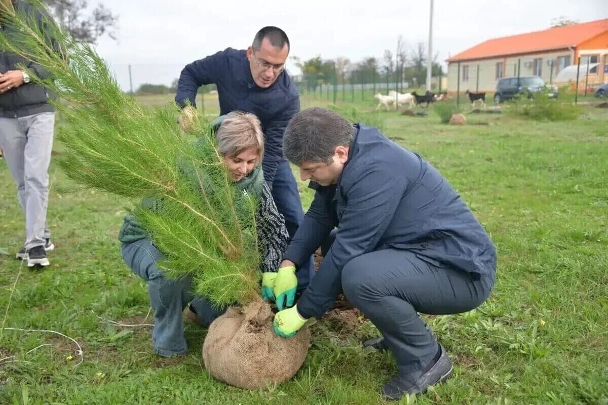 В парке «Патриот» под Джанкоем высадили «Аллею единства народов России»