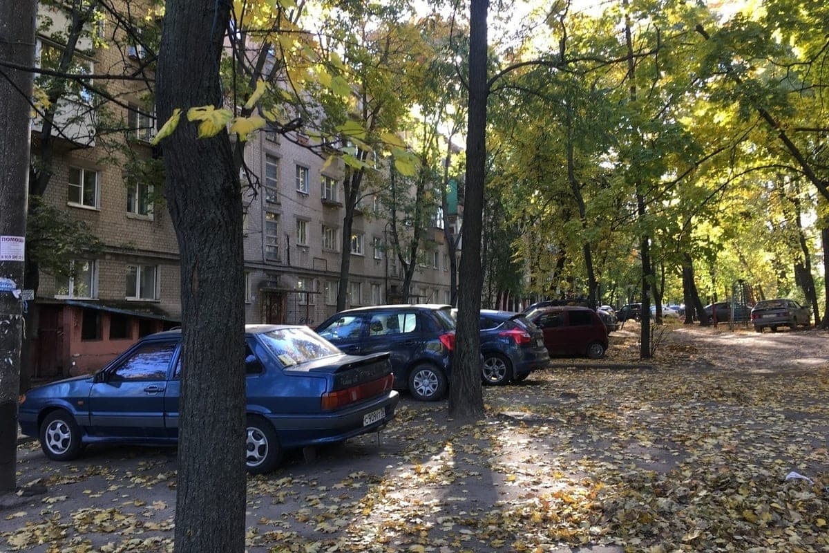 Two Voronezh teenagers tore the logo from the Mercedes and ran away