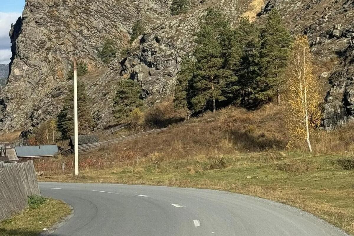 The bear who entered the cemetery of Abaza was not eliminated