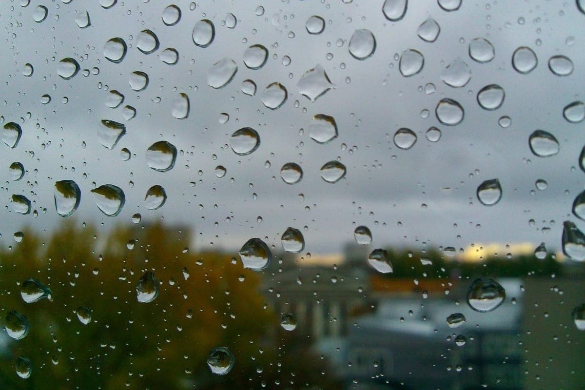 Rain, strong wind and up to +22 ° C is expected on October 16 in the Krasnodar Territory