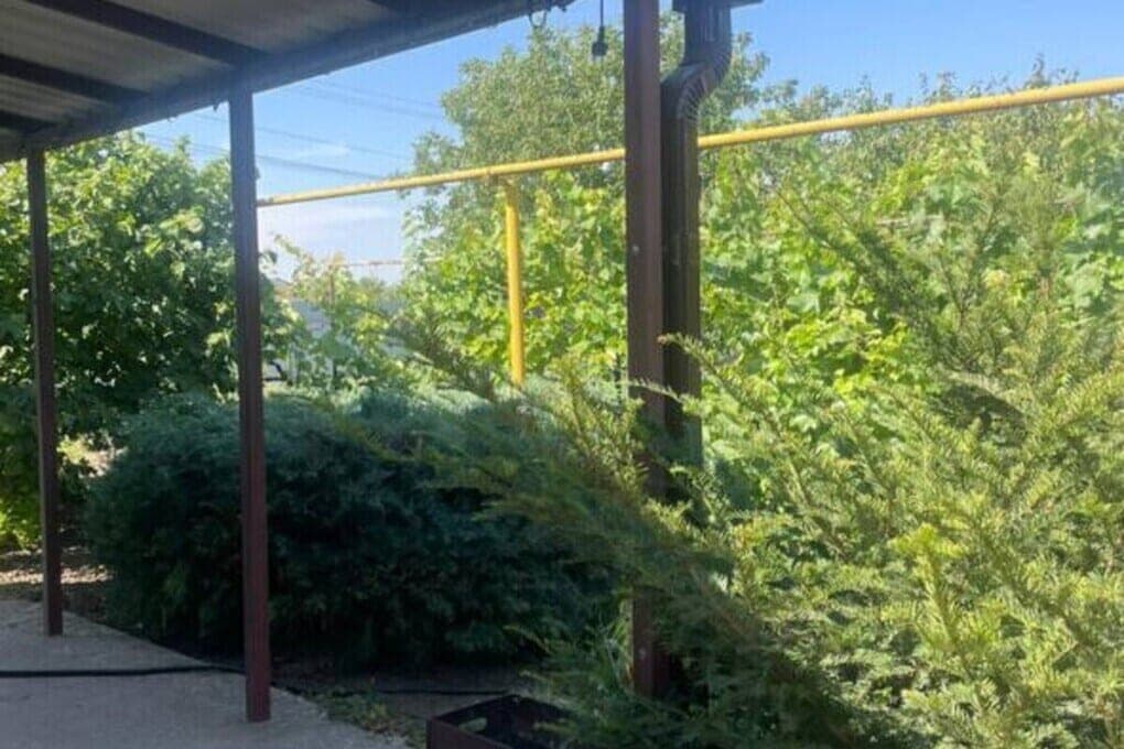 Жителям Ростовской области рассказали, как подготовить участок и дом к зиме