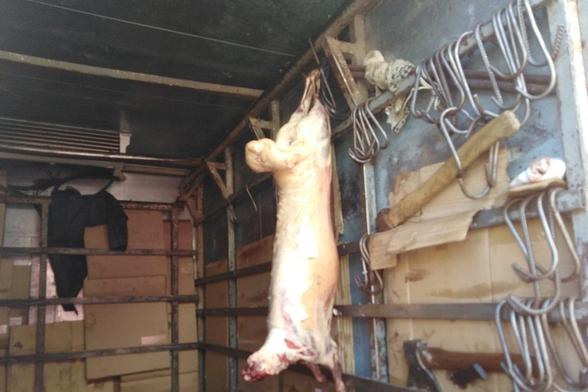 Saratov microbiologists found dangerous salmonella in meat