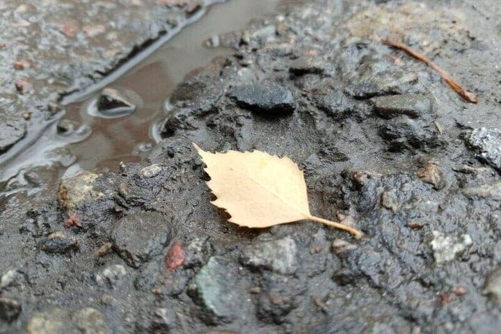 Небольшие дожди ждут белгородцев во вторник ночью