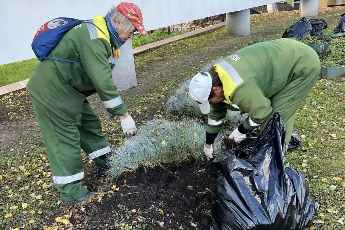 Рязанцев пригласили принять участие в четвёртом общегородском субботнике