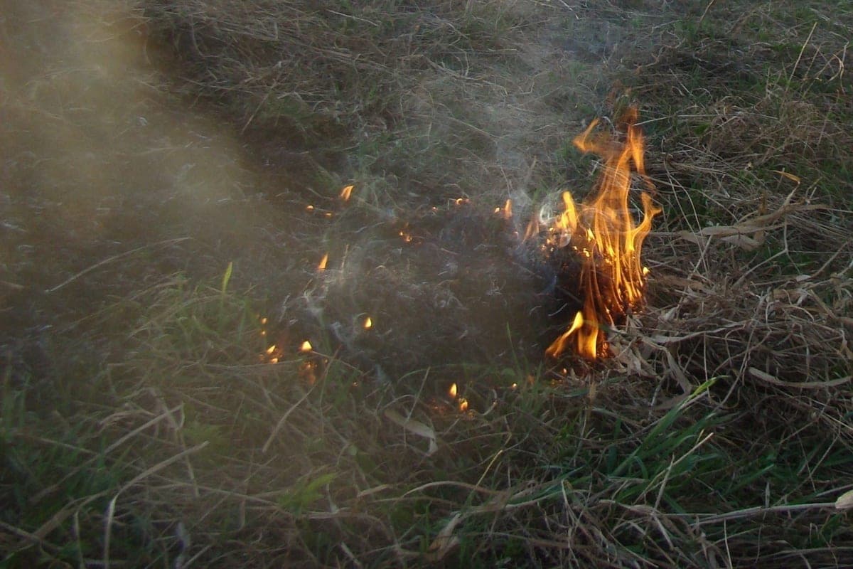 Historical minimum number of forest fires recorded in the Vologda region